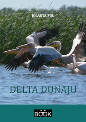 Delta